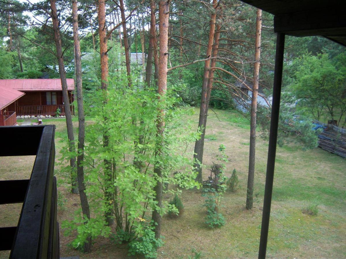 Forest Villa Susiec Exterior photo